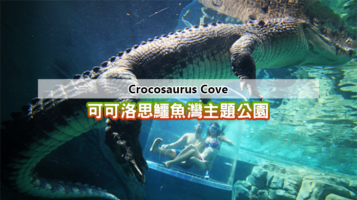 crocosaurus cove discount